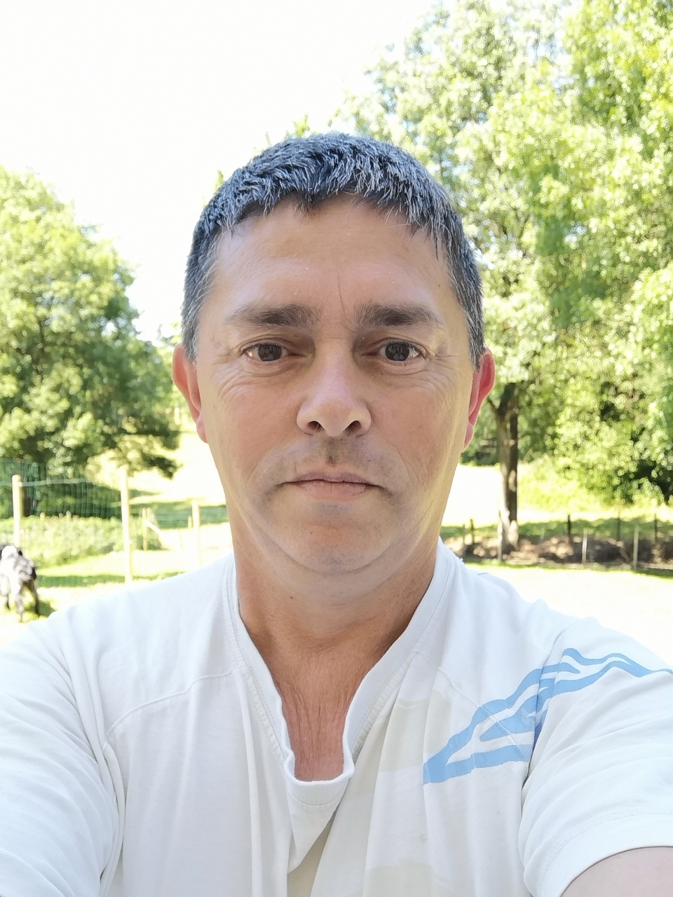 Service tonte de pelouse 24 entre particuliers