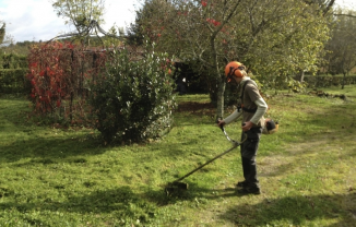 Service entretien jardin entre particuliers