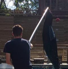 Service : chien Service : chien