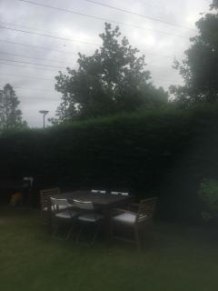 Service : taille de haies Service : taille de haies