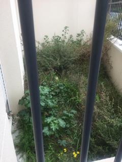 Service : debroussaillage Service : debroussaillage