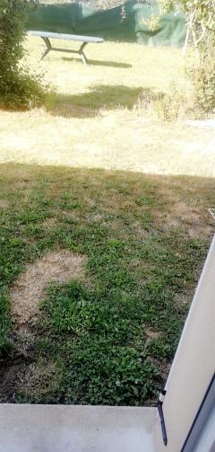 Louer le jardin