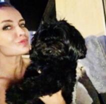 Service : chien Service : chien