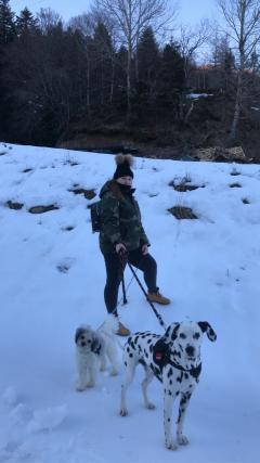 Service : chien Service : chien