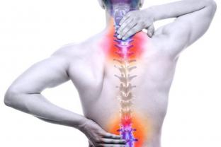 Service : service a personne Service : service a personne