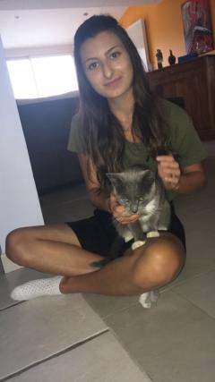 Service : chien Service : chien