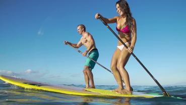 Location : paddle Location : paddle