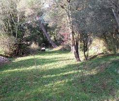 Demander ce jardinier