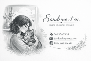 Service : chat