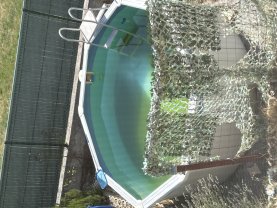 Location robot piscine