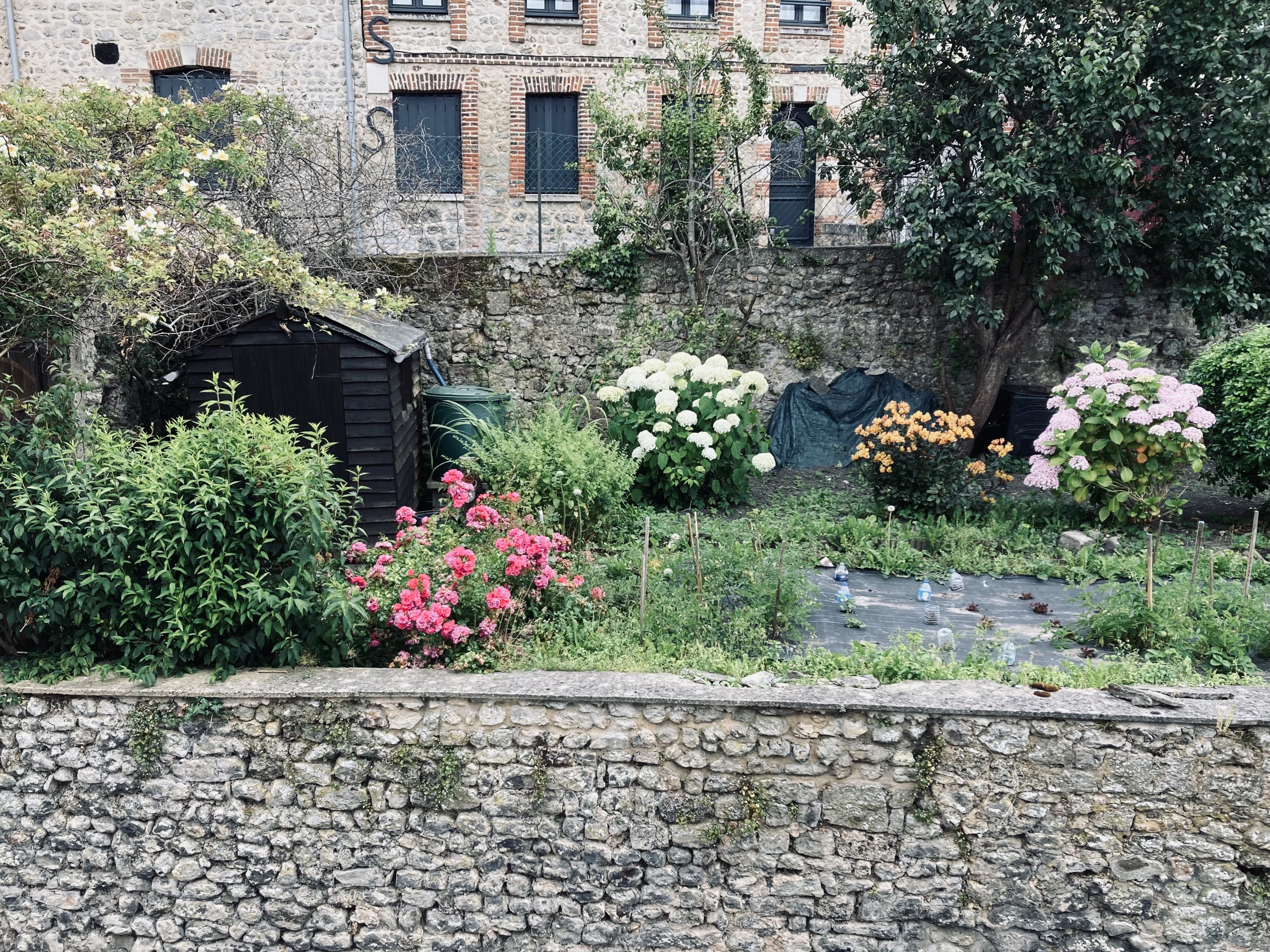 Location jardin potager 76 entre particuliers