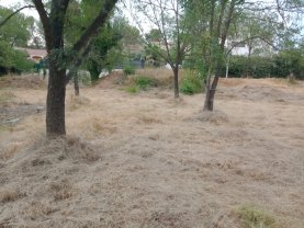 Location jardin potager