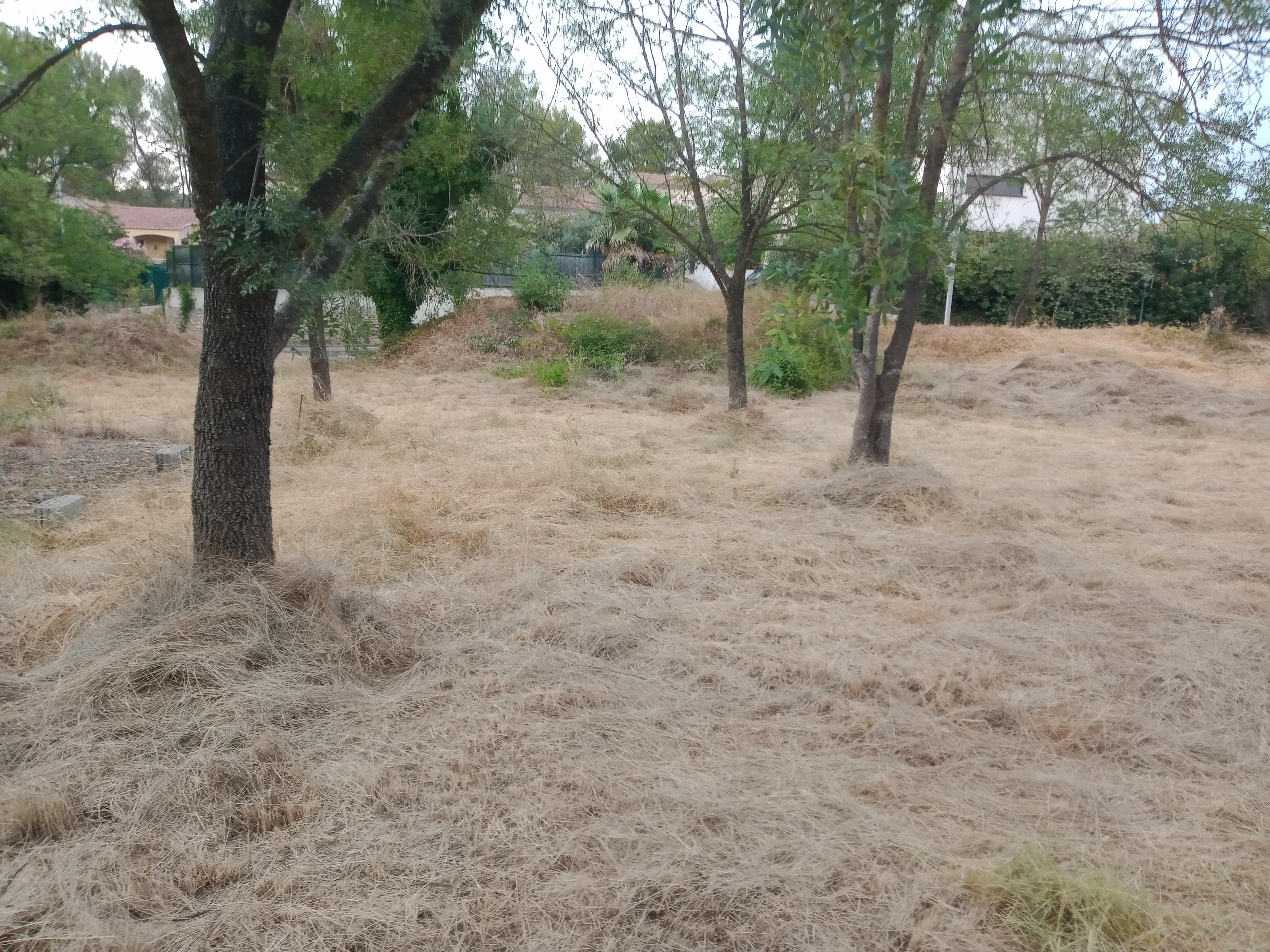 Rental Jardin potager between individuals (34)