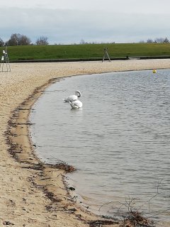 Location : tracteur tondeuse Location : tracteur tondeuse
