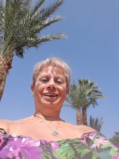 Location : siege enfant velo Location : siege enfant velo