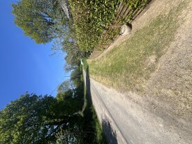 Location taille haie