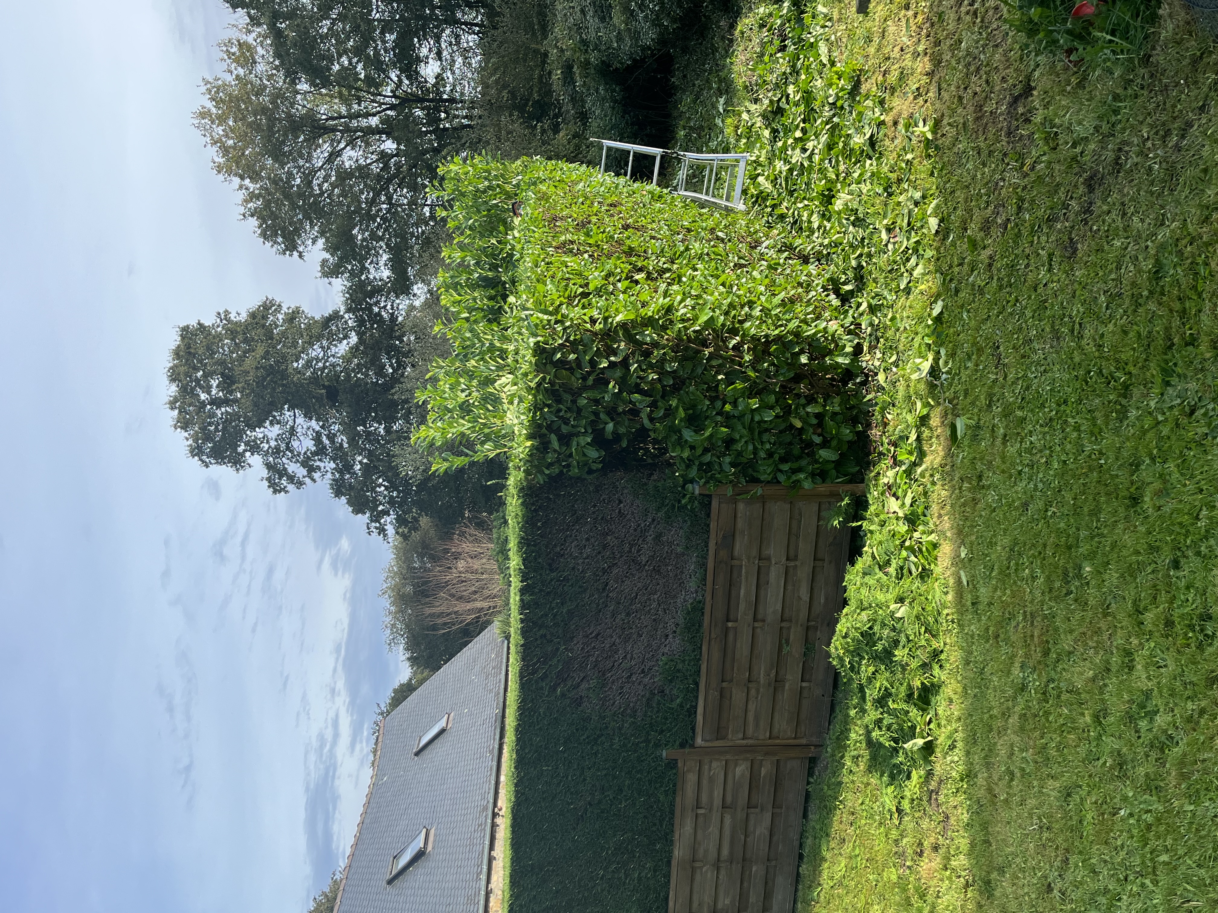 Location taille haie 22 entre particuliers