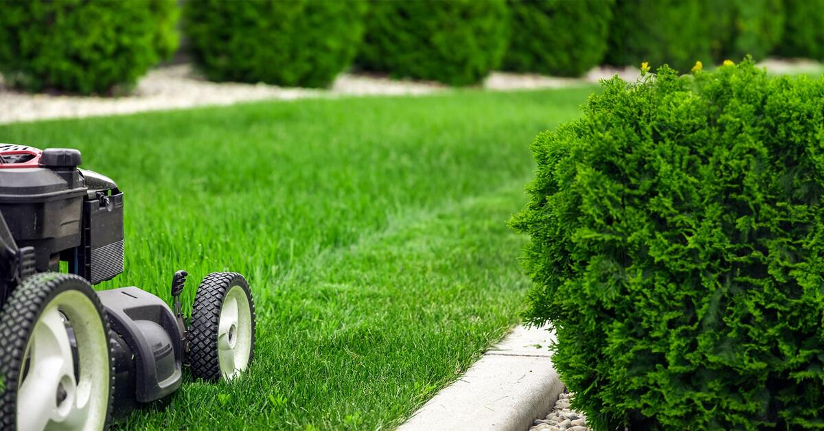 Service tonte de pelouse 14 entre particuliers