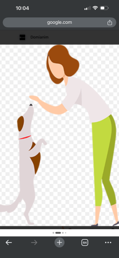 Service garde de chien Service garde de chien