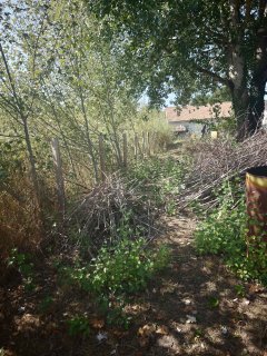 Location jardin potager