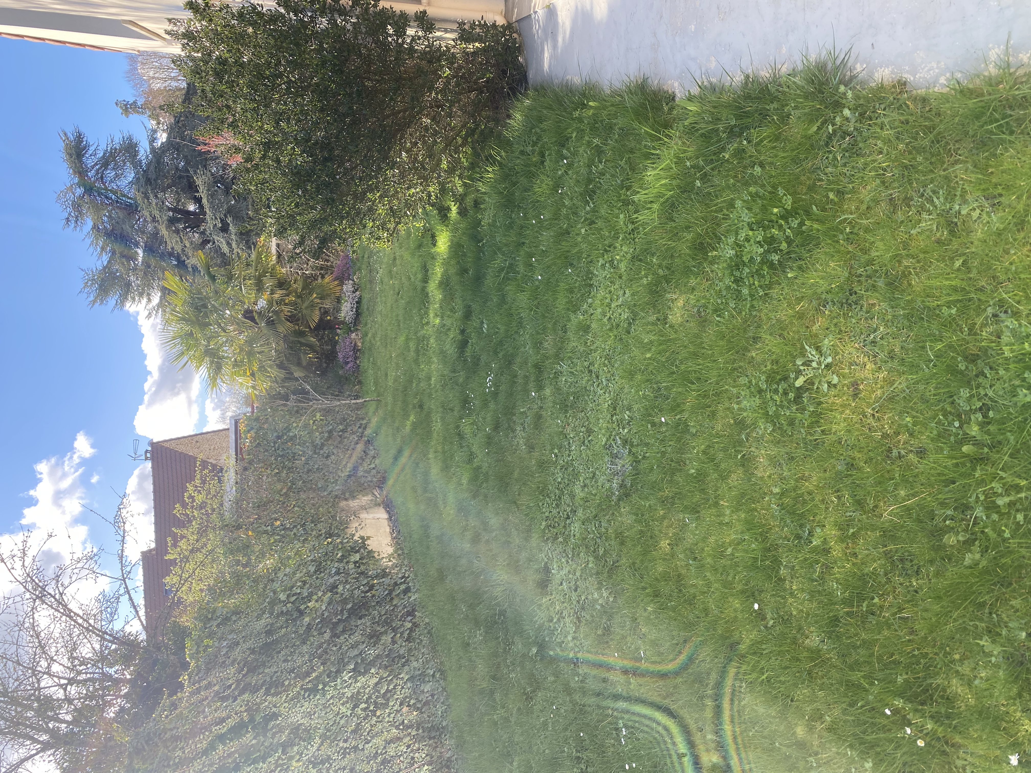 Location tondeuse 78 entre particuliers