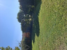 Service : entretien jardin Service : entretien jardin