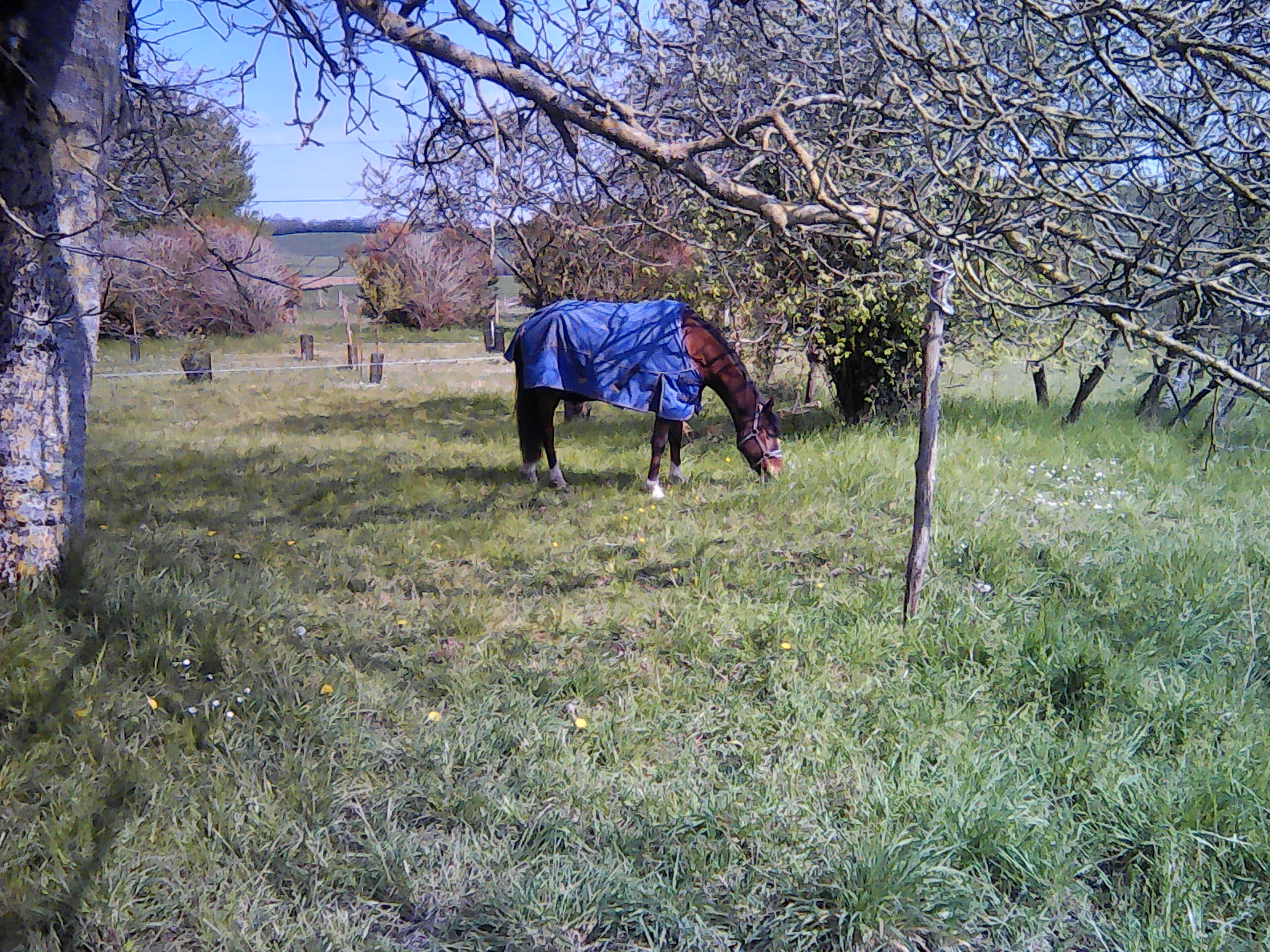 Rental Jardin potager between individuals (72)