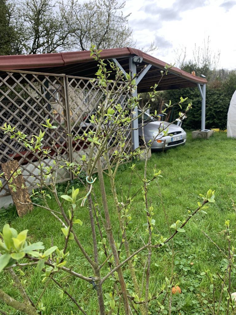 Location caravane 08 entre particuliers