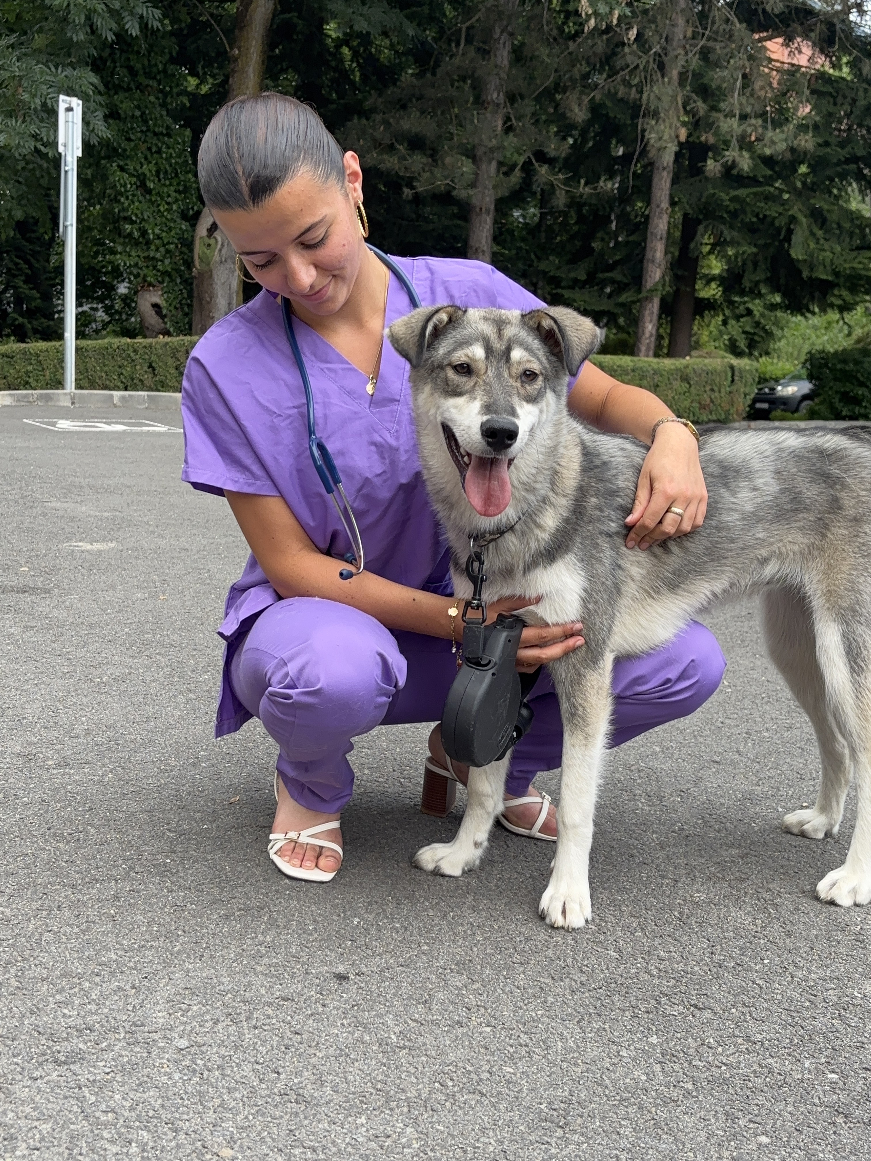 Service garde animaux 74 entre particuliers