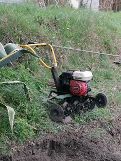 Location : motoculteur