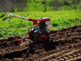 Service : entretien jardin