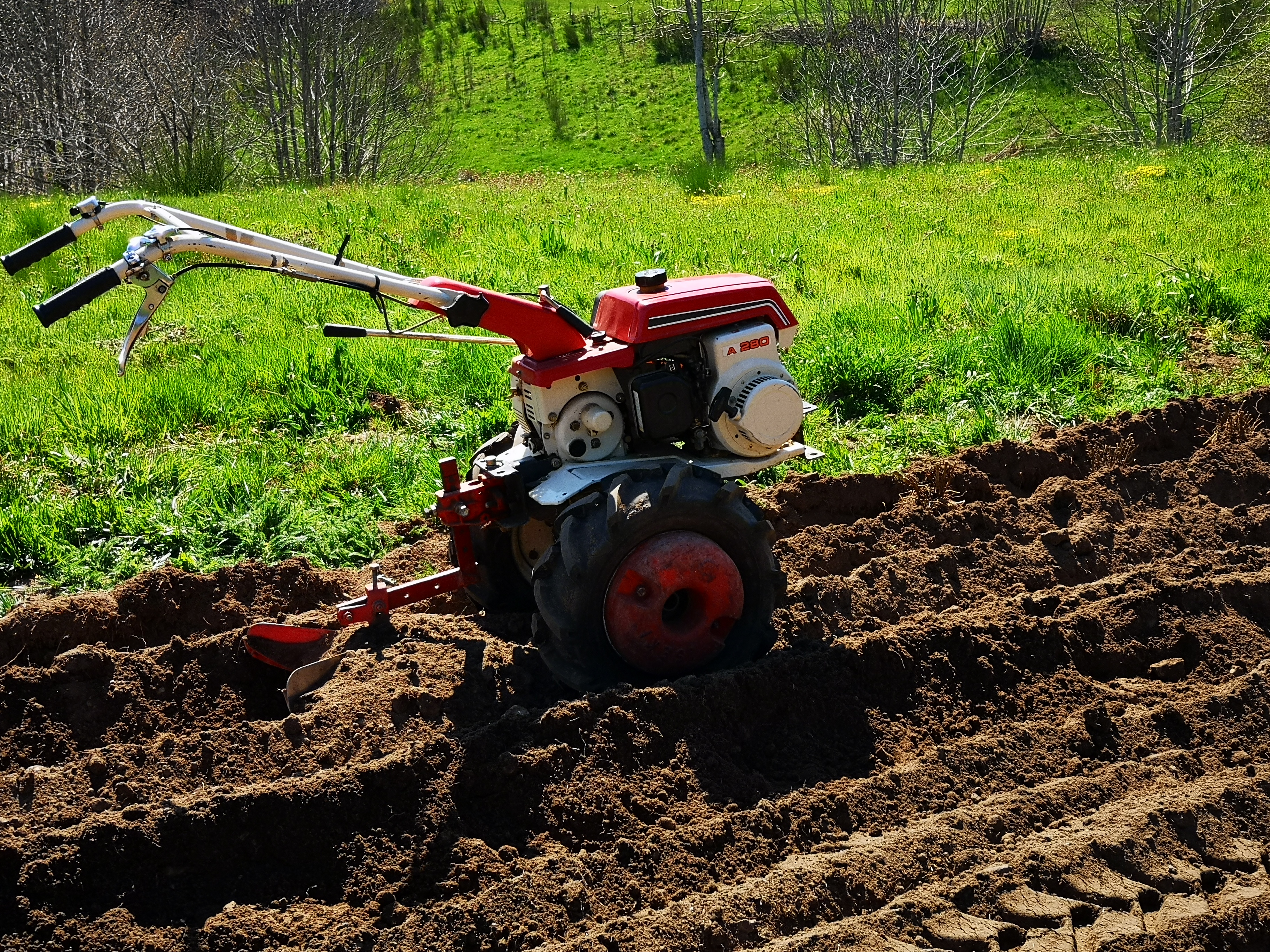 Service entretien jardin 43 entre particuliers