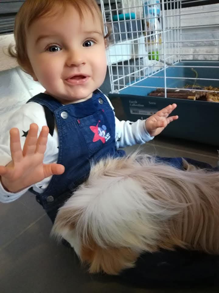 Service rongeur 85 entre particuliers