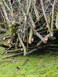 Location : broyeur a vegetaux Location : broyeur a vegetaux