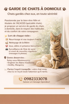 Service : chat