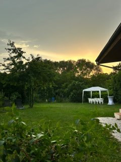 Location : jardin