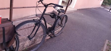 Location velos