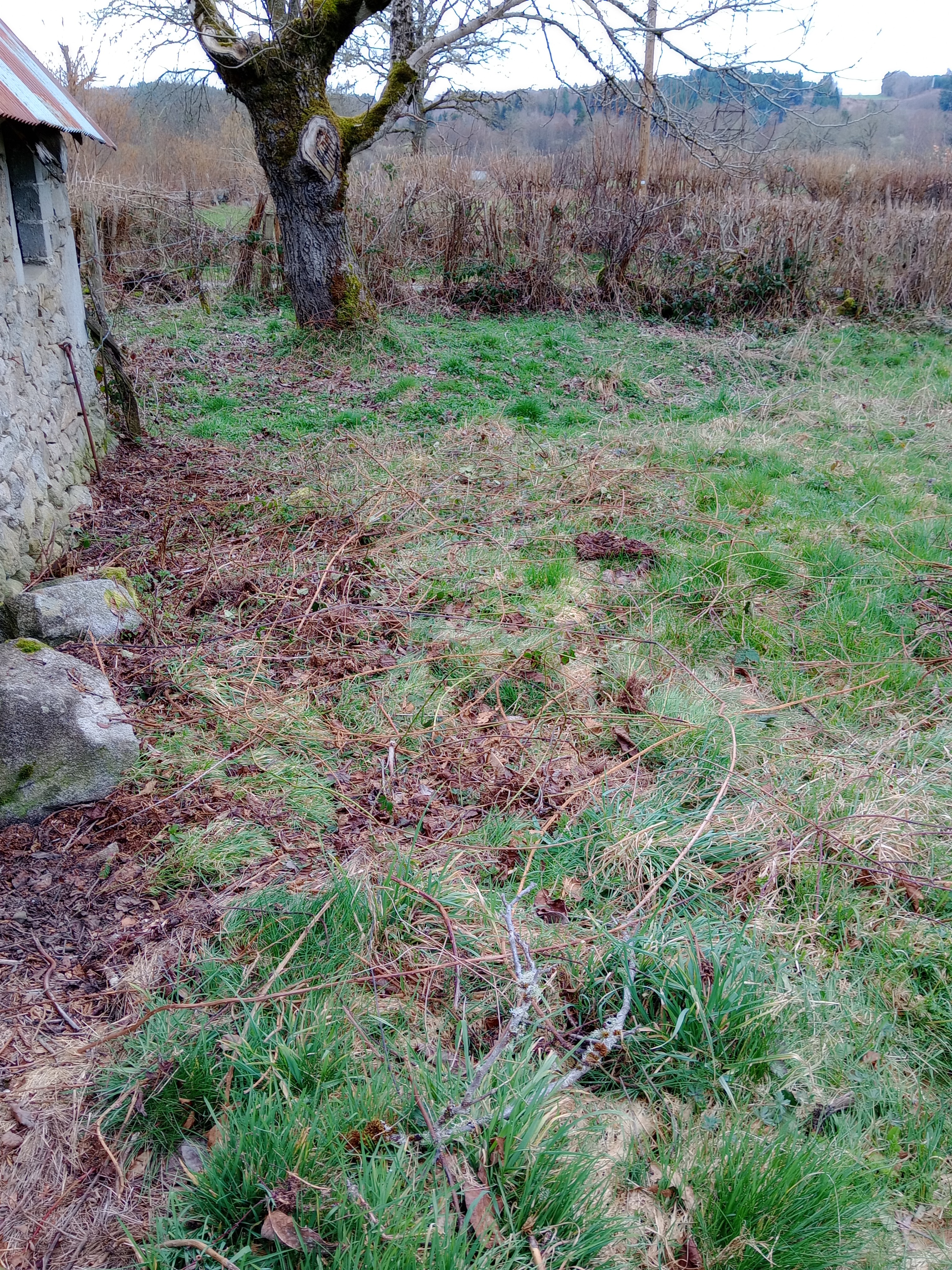 Location rotovator 19 entre particuliers