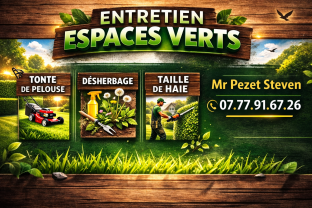 Service : tonte de pelouse