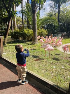 Service : garde enfants
