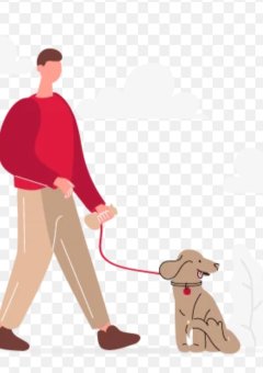 Service promeneur garde de chien