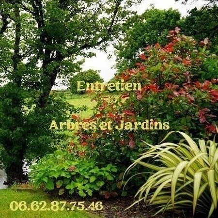 Service entretien espace vert 56 entre particuliers