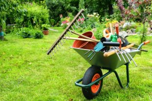 Service : entretien jardin