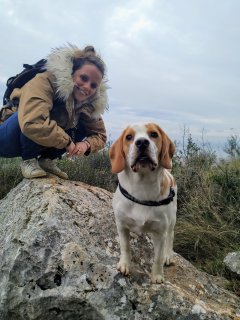 Service garde animaux