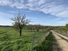 Location : vedette