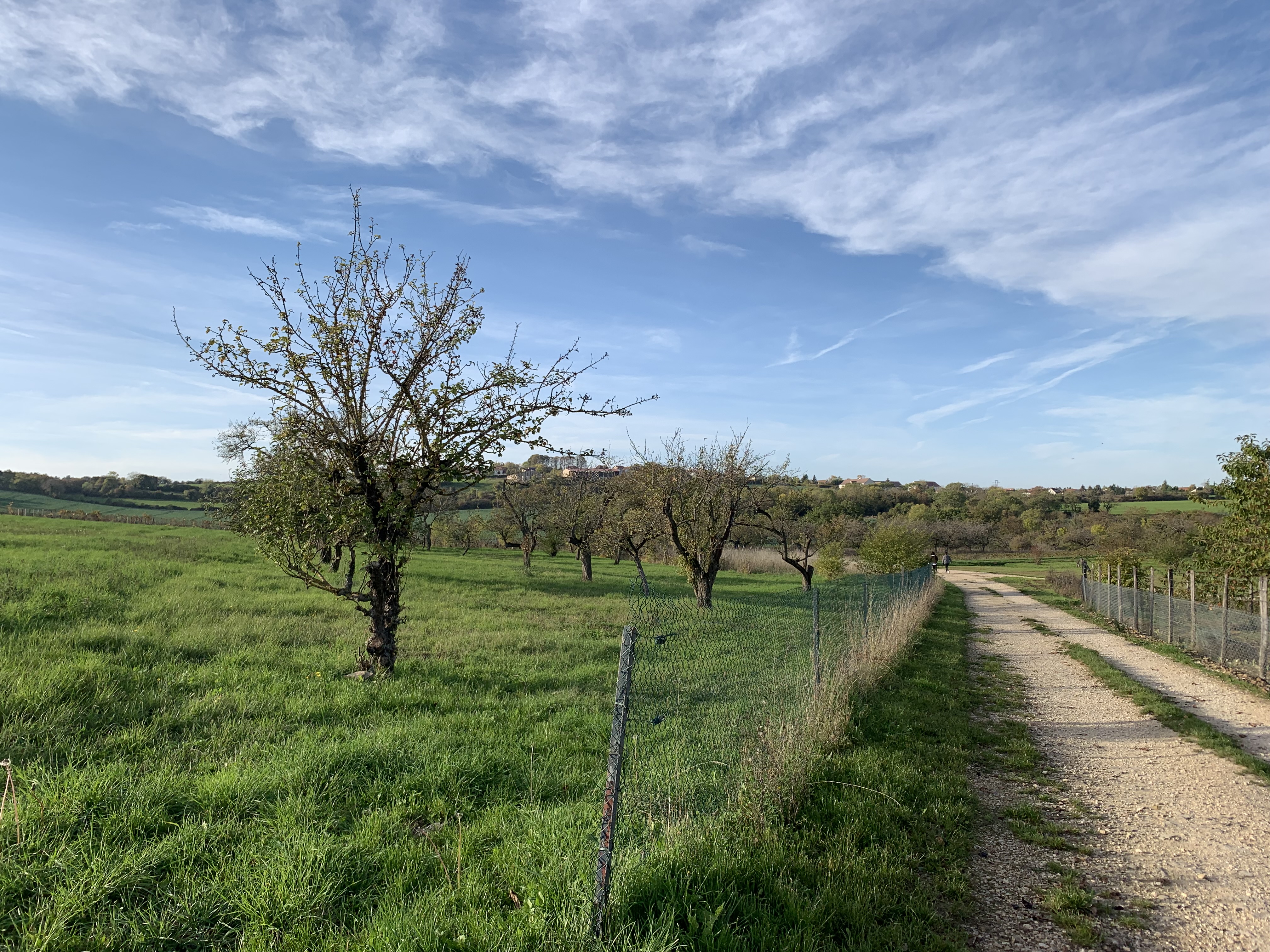 Location vedette 21 entre particuliers