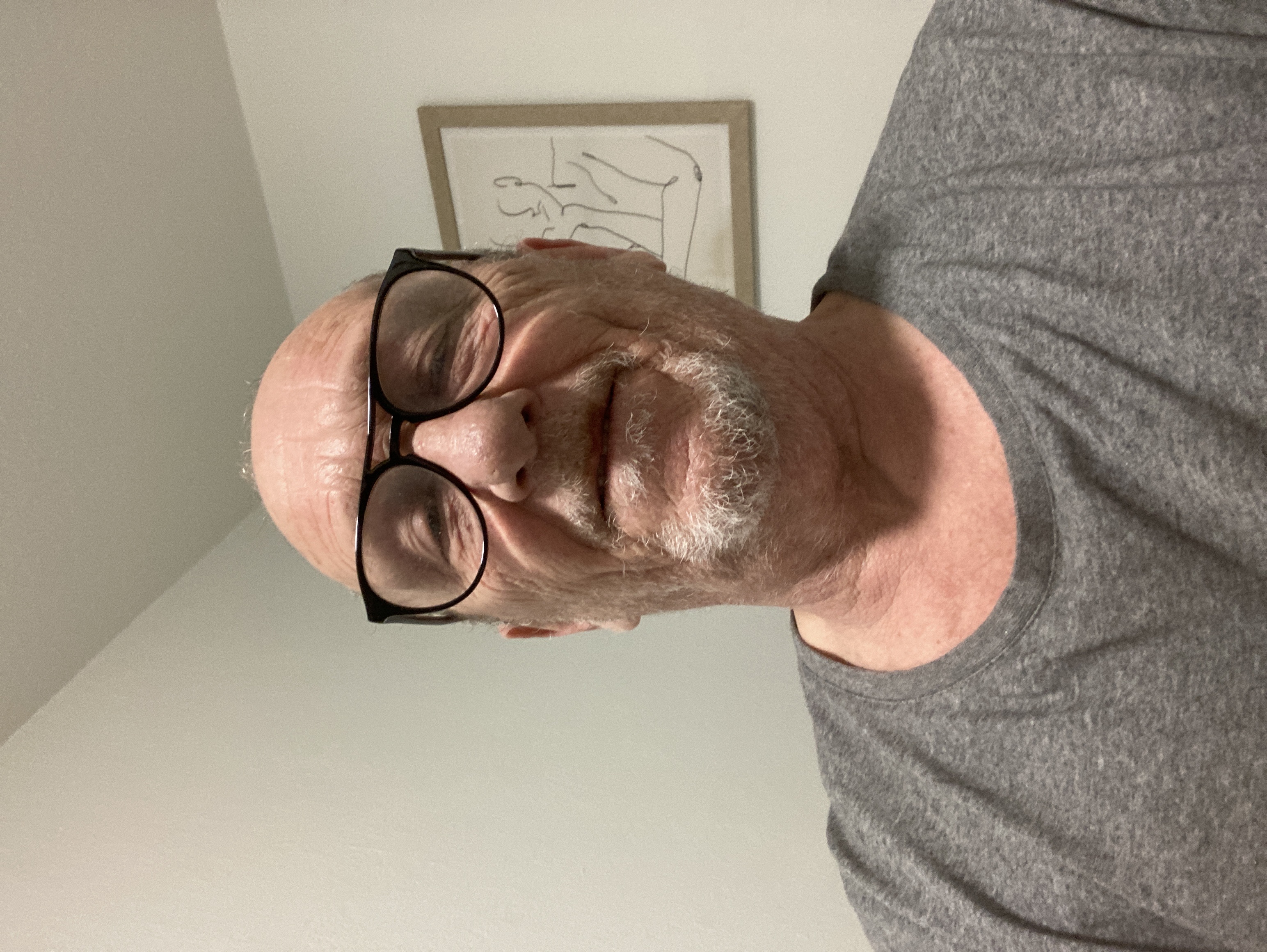 Service promeneur chien 06 entre particuliers