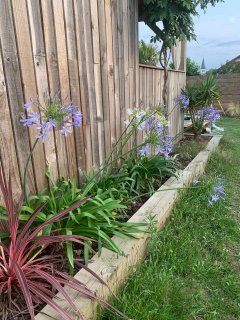 Service : entretien jardin Service : entretien jardin