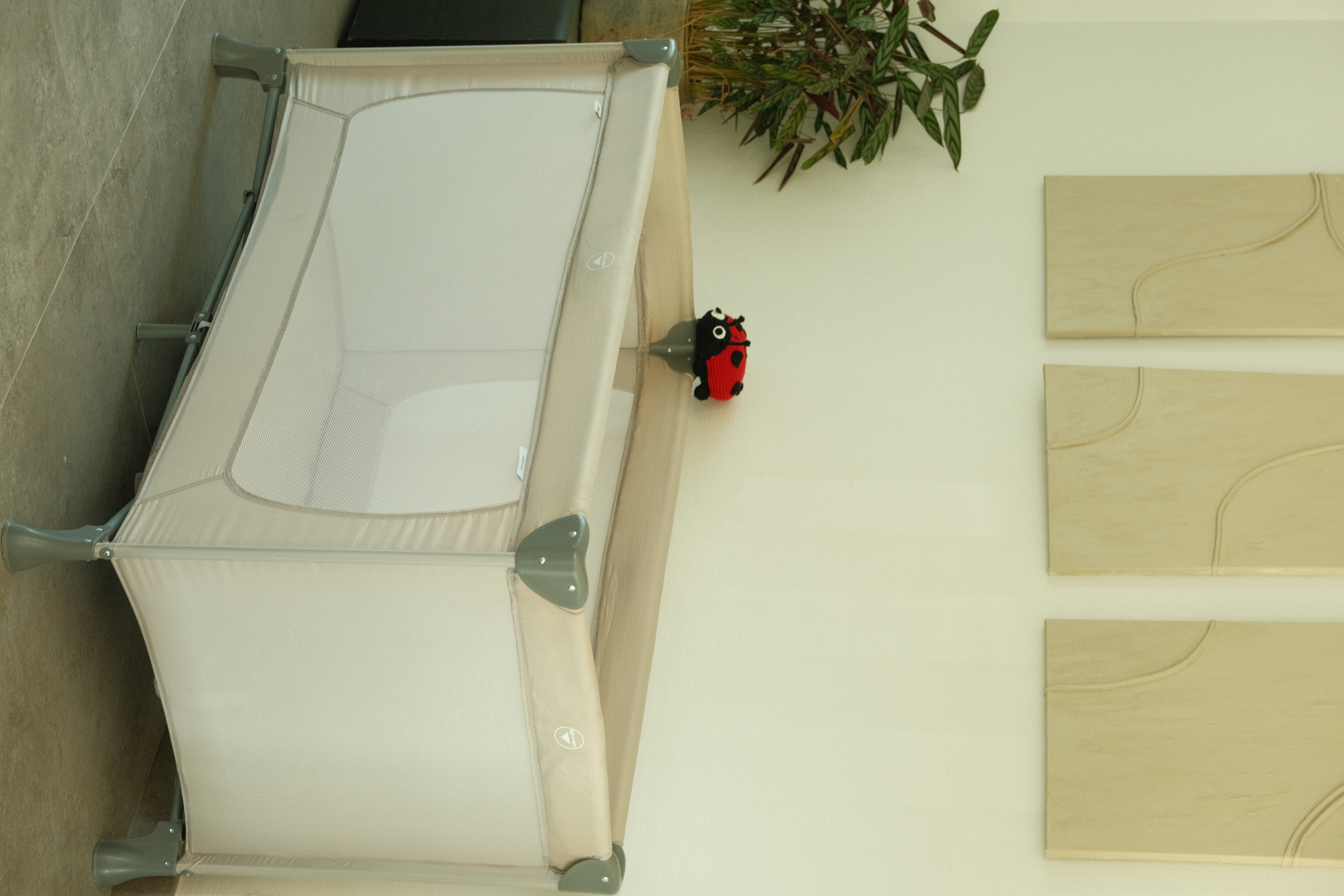 Location poussette 59 entre particuliers