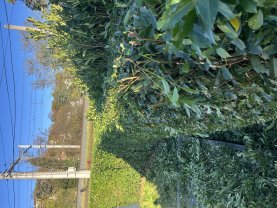 Location autre Location autre